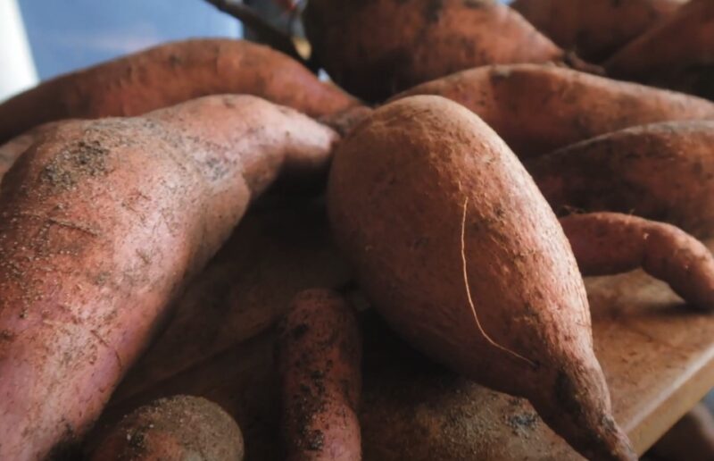 Sweet potatoes longevity storage